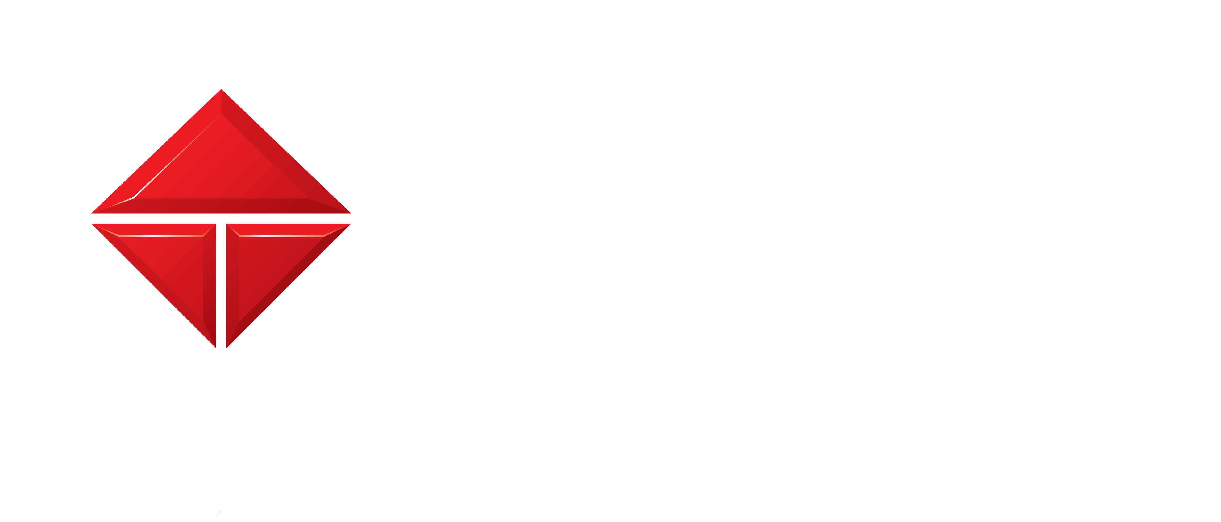 Tecnisa